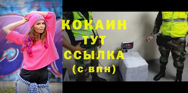 эйфоретик Арсеньев