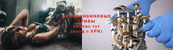 твердый Аркадак