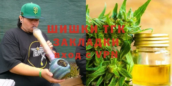 эйфоретик Арсеньев