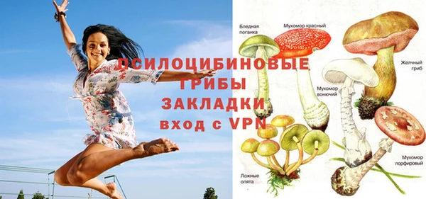 эйфоретик Арсеньев