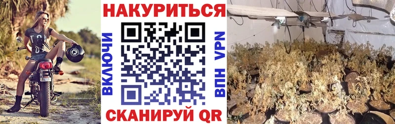 Конопля THC 21%  МЕГА онион  Темрюк 